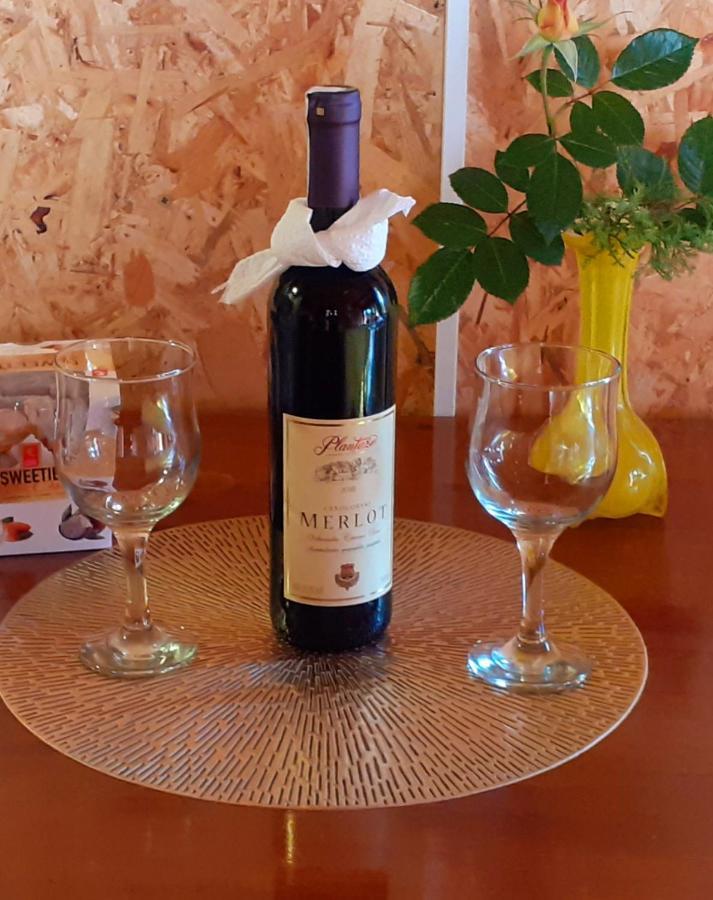 Obiteljski Apartman Borovi Visoko Luaran gambar