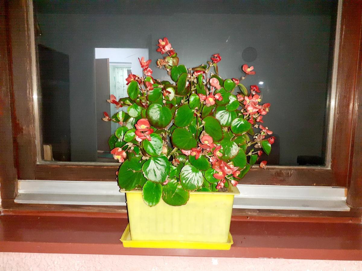 Obiteljski Apartman Borovi Visoko Luaran gambar