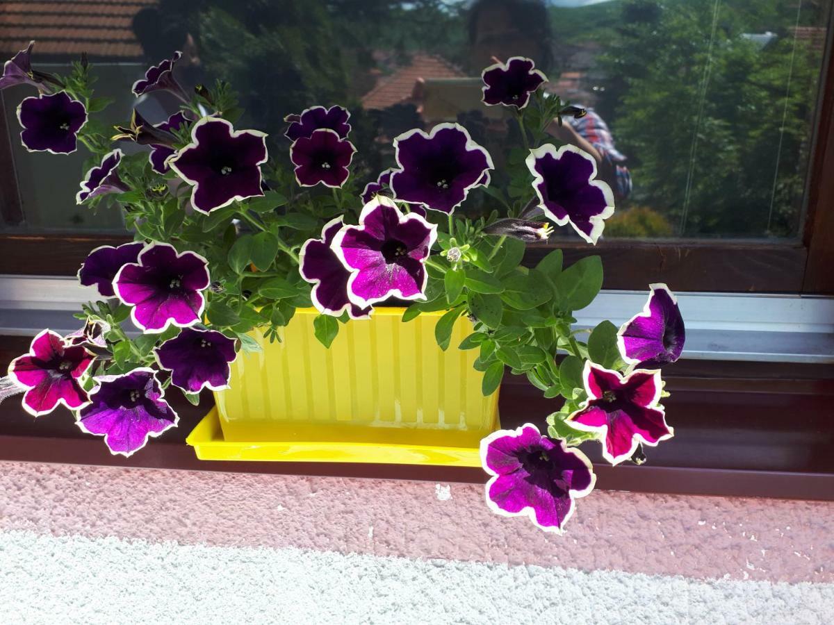 Obiteljski Apartman Borovi Visoko Luaran gambar